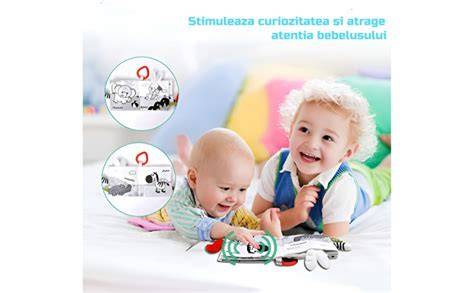 Infografic: Beneficiile jucariilor cu suzeta pentru dezvoltarea senzoriala a bebelusilor