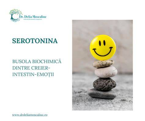 Infografic: legatura dintre microbiom, serotonina si senzatiile emotionale