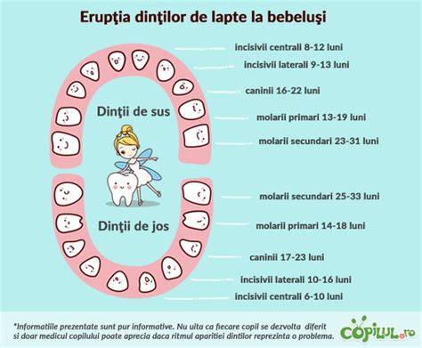 Infografic: Etape si numar de dinti la copii pe masura cresterii