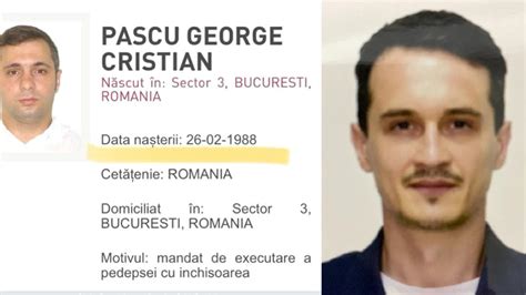 Infografic: Componentele unui pachet de naștere în aeroport spații private