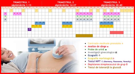 Schemă a etapelor sarcinii și analizelor recomandate