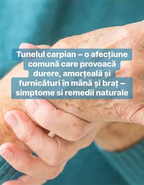 Infografic: Sistem Quick-Fold și avantajele plierii cu o singură mână