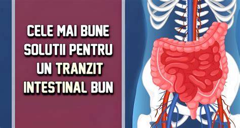 Schema tranzit intestinal postoperator