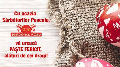 Infografic: Ce sa verifici la Jucarii Dragonul Rosu (varsta, siguranta, materiale, functii)
