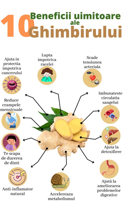 Infografic: Componentele active ale ghimbirului ( Gingerol, Shogaol, uleiuri esențiale )