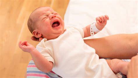 Infografic: Componentele unei păpuși bebe care plânge și variante Jumbo