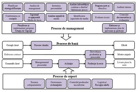 Harta proceselor unei cezariane canine/pisice