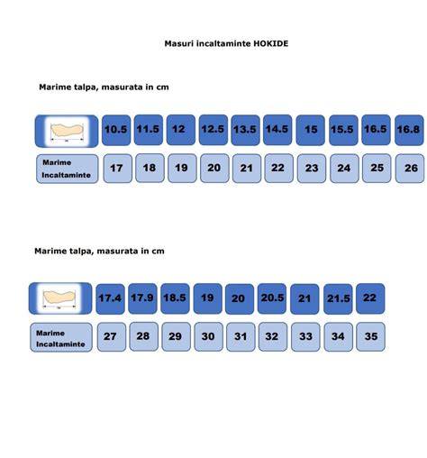 Comparatie marimi embrionare saptamanile 4-8