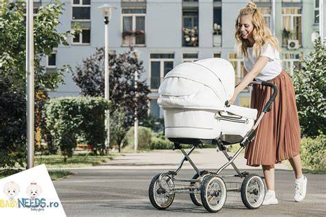 Infografic: Comparație între cărucioare 3 în 1 și 2 în 1 cu accent pe piele ecologică