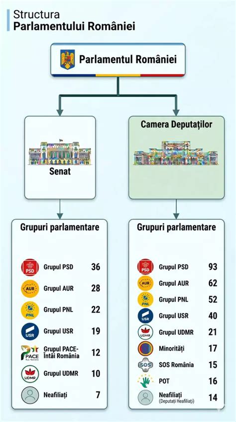 Grafic: structura concediilor parintești în România
