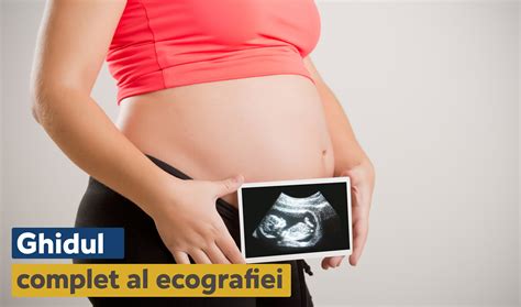 Diagrama organelor fetale în timpul ecografiei