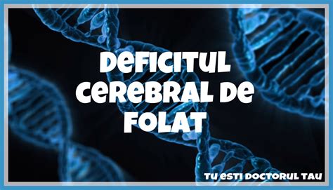 Hartă sau diagramă privind distribuția surselor de folat în alimente