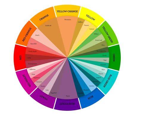 Infografic-Cerc-Cromatic-Copii