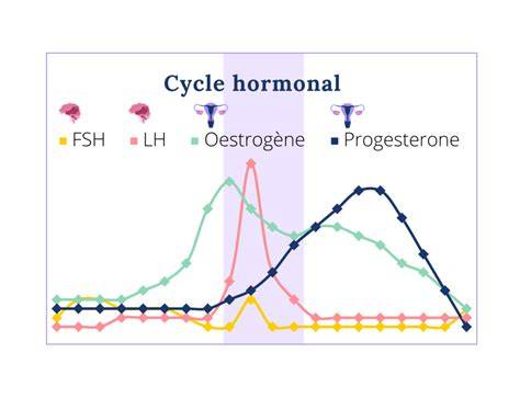 Schema interacțiunilor hormonale în sarcină: estrogen, progesteron, hCG, prolactină, oxitocină