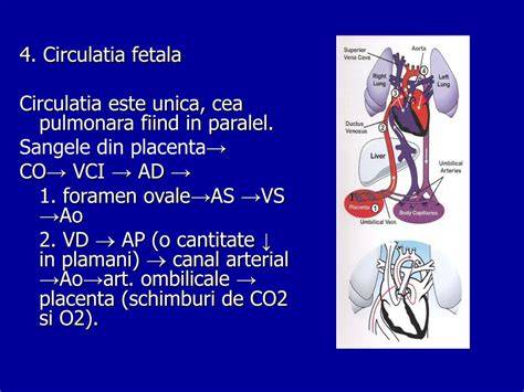 Diagramă a fluxului sanguin normal vs. defecte cardiace congenitale