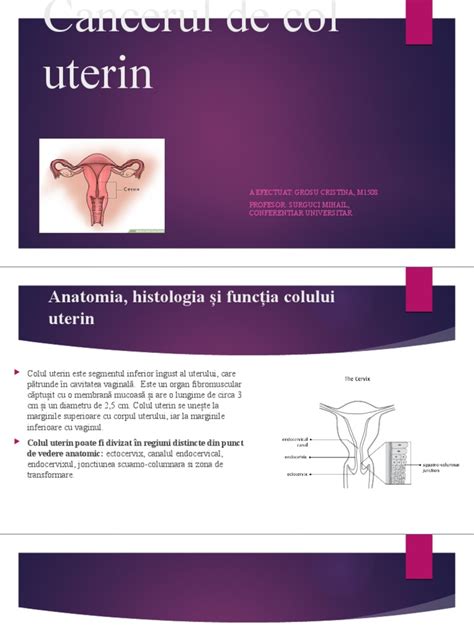 Anatomia colului uterin
