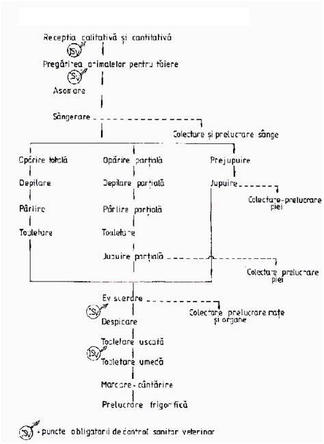 Schema fluxului de aer într-un biberon anticolici