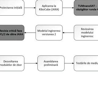 Diagramă cu etapele dezvoltării unei echipe