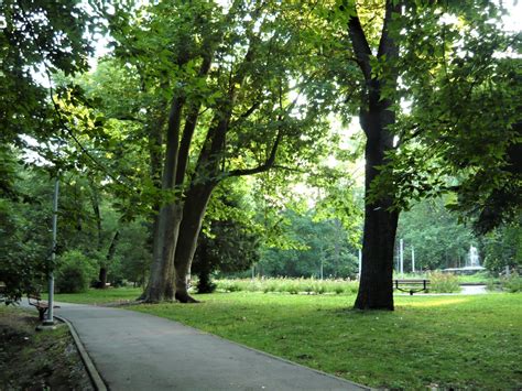 Fotografii de la curățenia în Parcul Sub Arini (colecție)