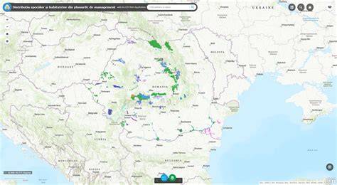 Hărți de spațiu de baie și zone de instalare a hamacului