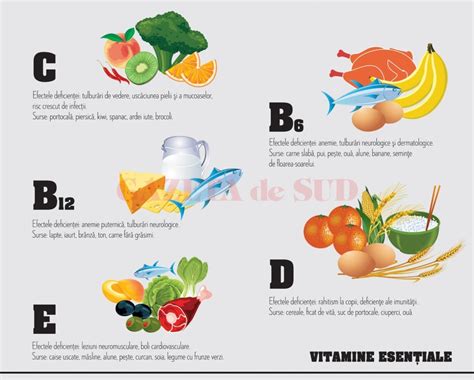 Pamflet: etapele necesare ale vitaminelor în fiecare trimestru