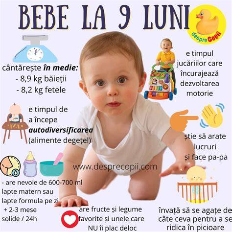 Infografic: etape diversificare la 9 luni