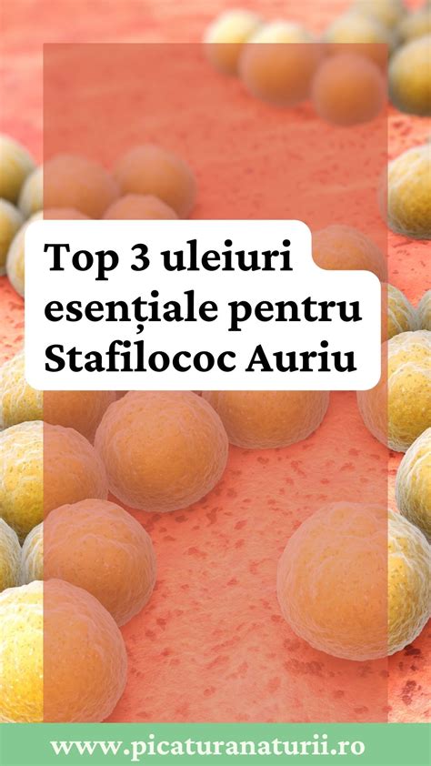 Schemă a bacteriilor de stafilococ