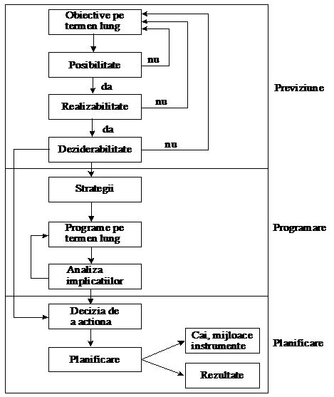 Schema flux informatii programare si consultatii