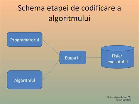 Diagrama procesului de programare si informare costuri