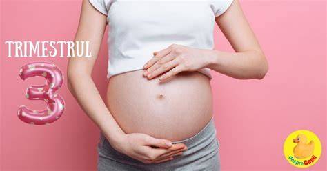 Schema interactiva a schitei abdomenului si a pozitiei fatului in trimestrul al treilea