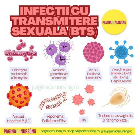 Schema transmitere BTS in timpul sarcinii