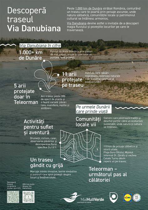 Infografic: traseul unei ședințe logopedice tipice în Lugoj