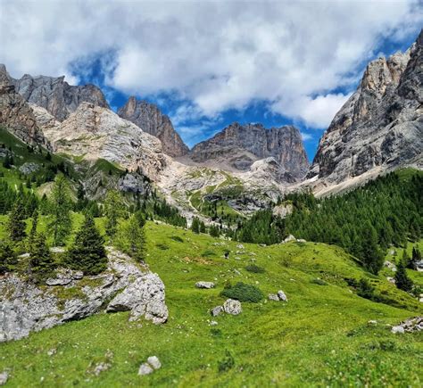 diversificare_alta