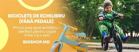 Diagramă: diferențe între tipuri de biciclete pentru copii