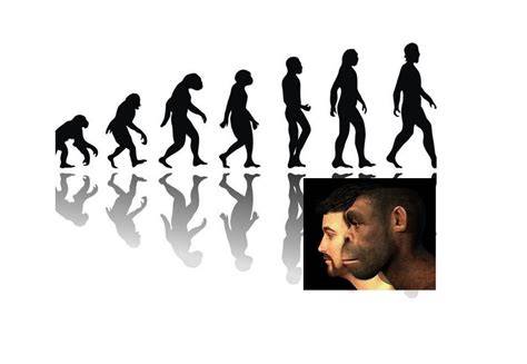 Imagine despre evolutia body-ului de bebeluși de la primele modele la cele moderne