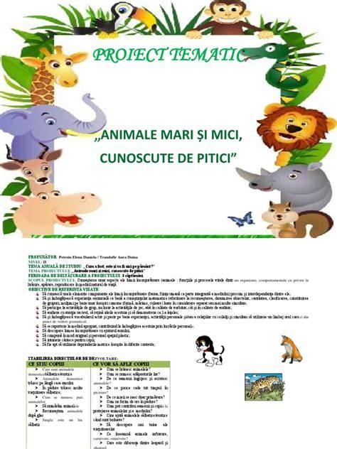 Infografic despre magia designului olandez pentru camerele copiilor: animale mari si tonuri naturale