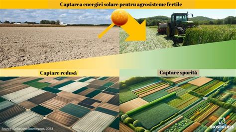 Finger-food vs. piureuri - comparație vizuală