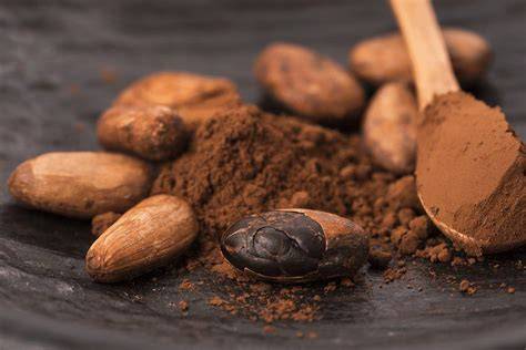Infografic: procesul de obținere a pudrei de cacao și diferențele între cacao naturală, alcalinizată și carob