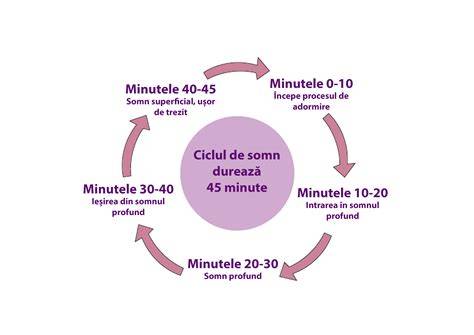 Infografie despre ciclurile somnului bebelușilor (REM și NREM) și momentele tipice de zâmbet în somn
