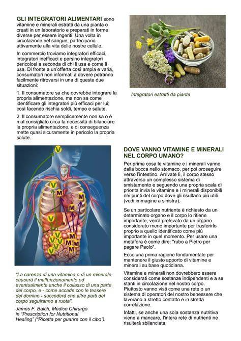 Infografic: Compozitia nutritiva a caiselor (fibre, vitamine, minerale, antioxidanti)