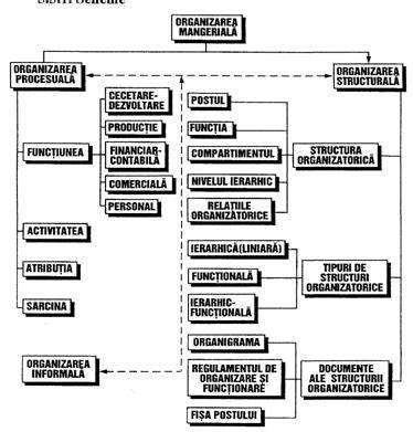 Schema organizatorica a Compartimentelor A.T.I. si sectiilor Cardio II