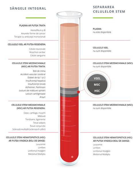 Infografic cu relația dintre sângele matern și sângele cordonului ombilical, distribuția reservelor de nutrienți, și transferul de toxine