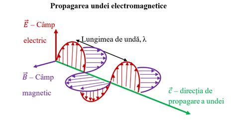 Infografic: Cum funcționează scaunul cu unde electromagnetice în tratamentul incontinenței pelvine