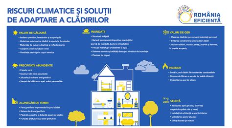 Infografic: ESGR, debit de curgere și impact asupra rinelor rumenale la viței
