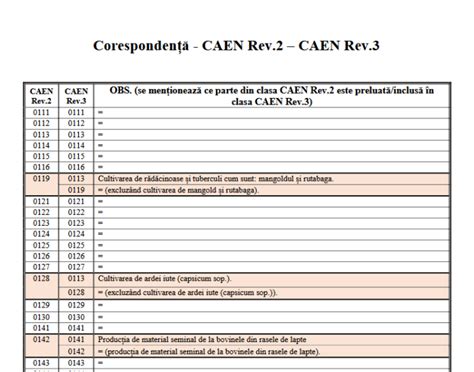 Infografic: Structura CAEN 4773 și arie de activitate a BEBE SUPERMARKET INVESTMENTS SRL
