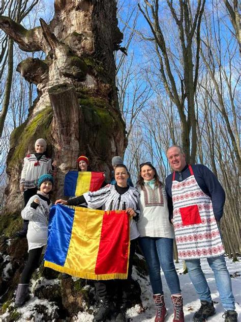 Stejarul lui Mihai Viteazul