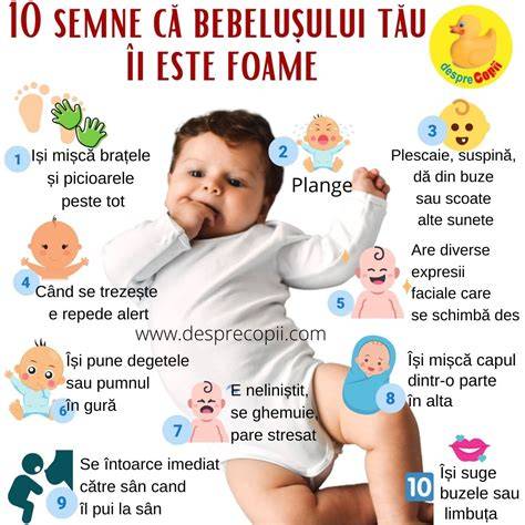 Diagrame despre semnele de foame si satietate la bebelusi