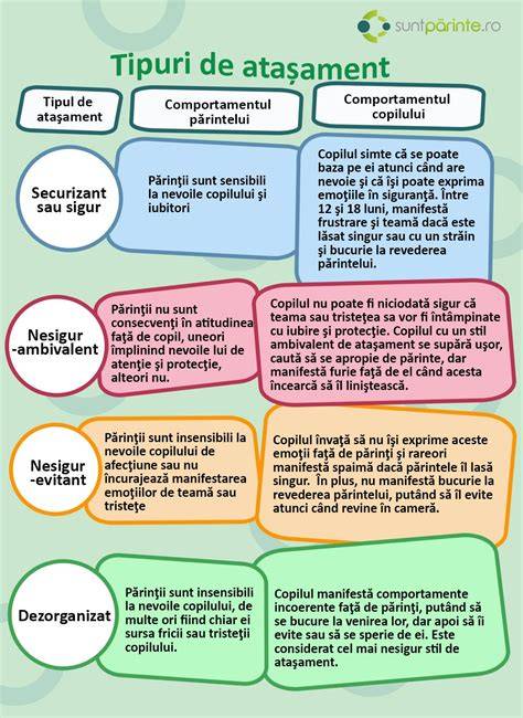 Infografie despre etapele atasamentului si etapele emotionale