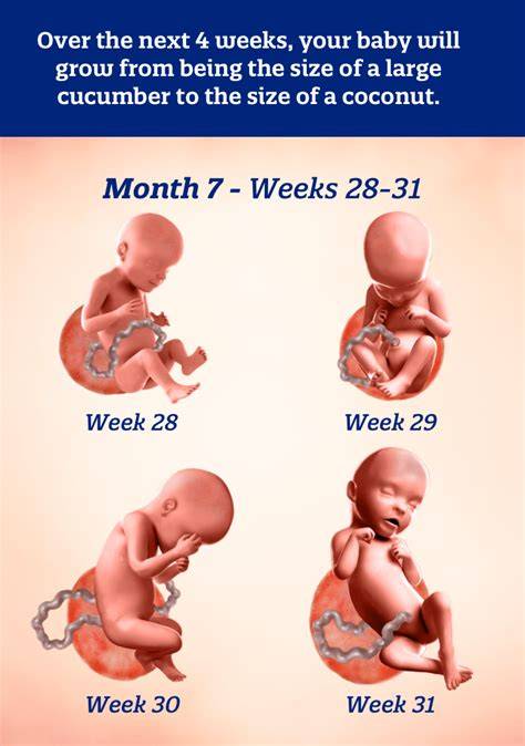 infographic-sleep-patterns-baby-7months