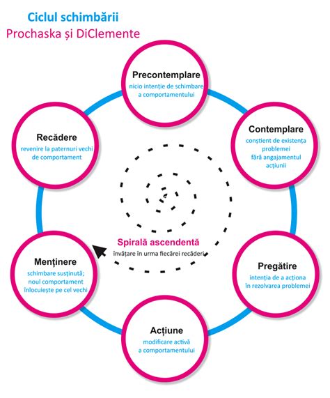 Infografic: ciclul schimbarii scutecului si cand treci la un alt model